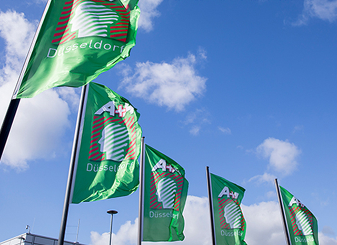 參加德國A+A安全展會，鑫磊受益良多