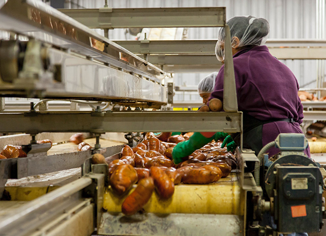 德國原裝進口TANA TANEX ceram 特耐工業用陶瓷磚專用清潔劑